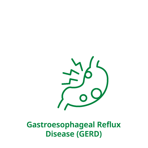Gastroesophageal Reflux Disease (GERD)