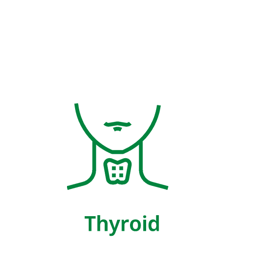 Thyroid